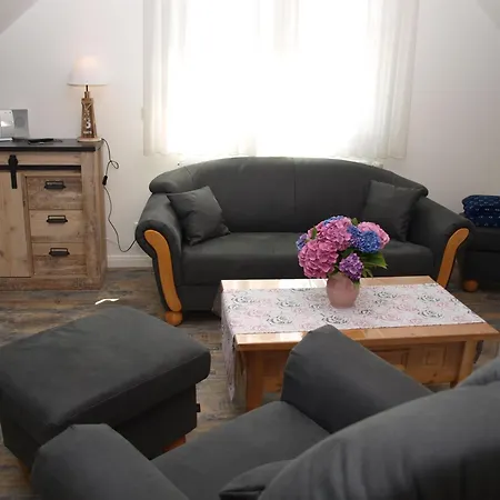 Ferienhaus Am Elbdeich Apartment